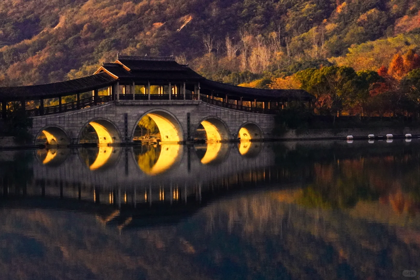 无锡冬日奇观限定‼️金光穿孔 福耀人间✨