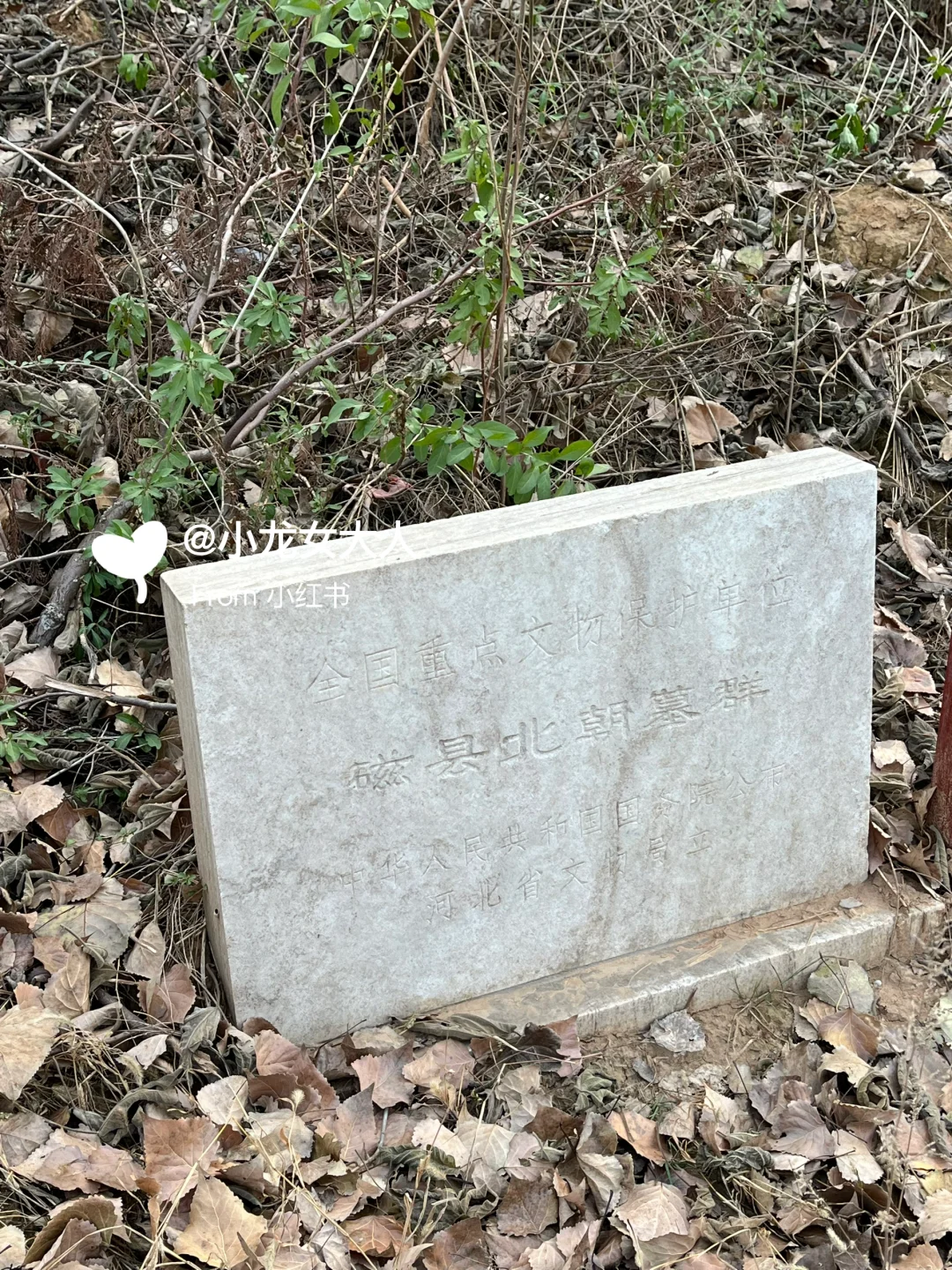 万万没想到｜邯郸探墓‼️高欢墓竟然在这里‼️