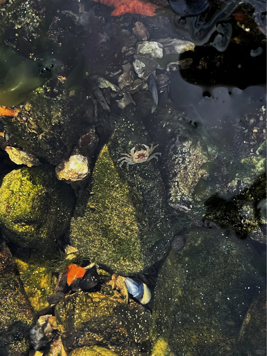 大连Plog，热门景点替大家踩个雷🧐