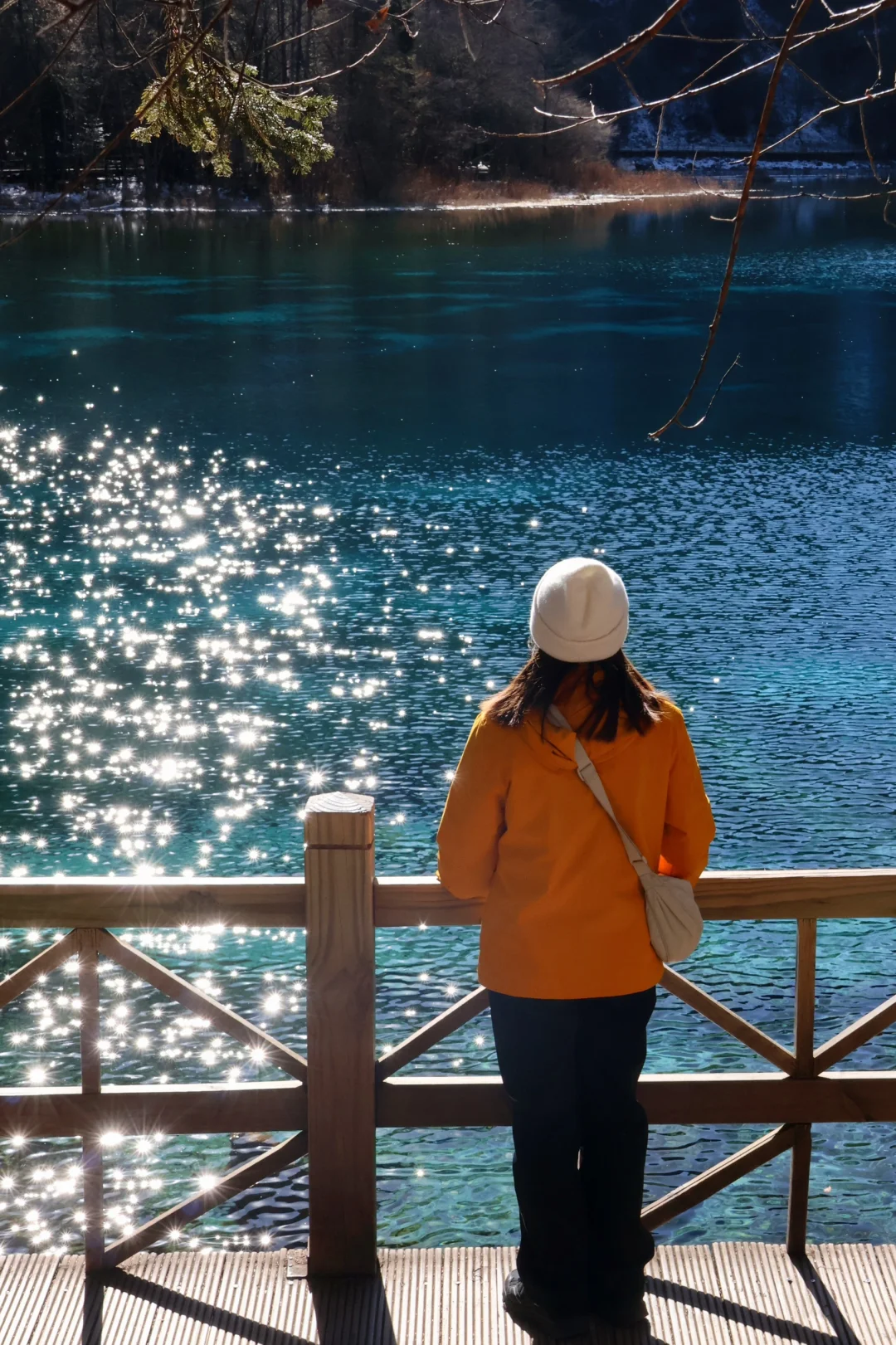 冬九寨沟自由行攻略～路线 住宿 开销 巨详细