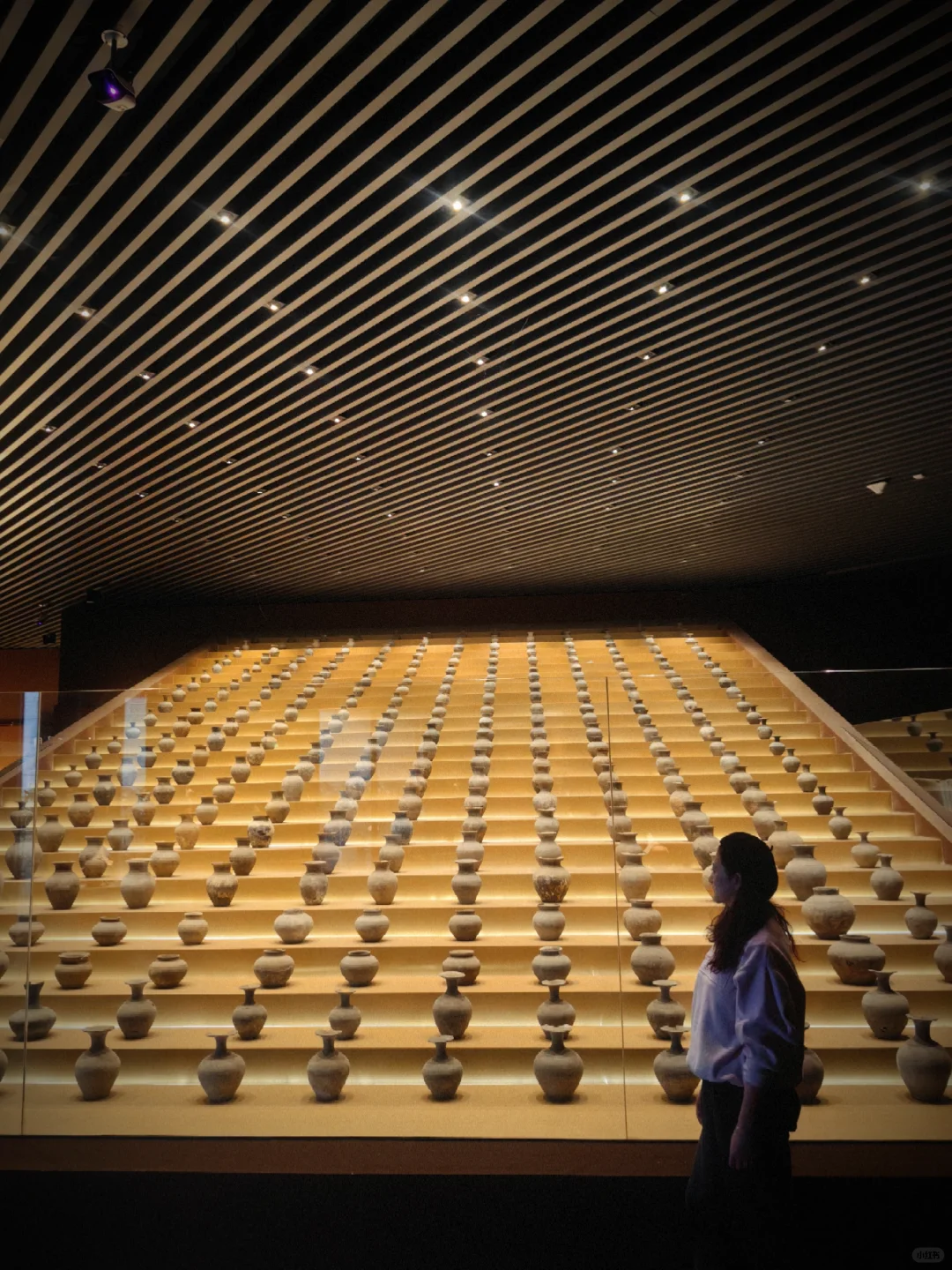 劝退大同行的人，打脸时刻来啦!（附贴士）