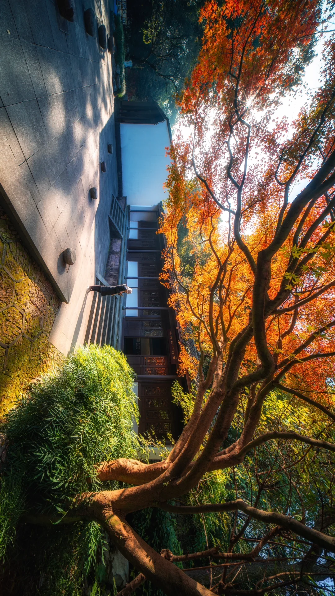 一个杭州99.9%的人都不知道的赏秋景点‼️