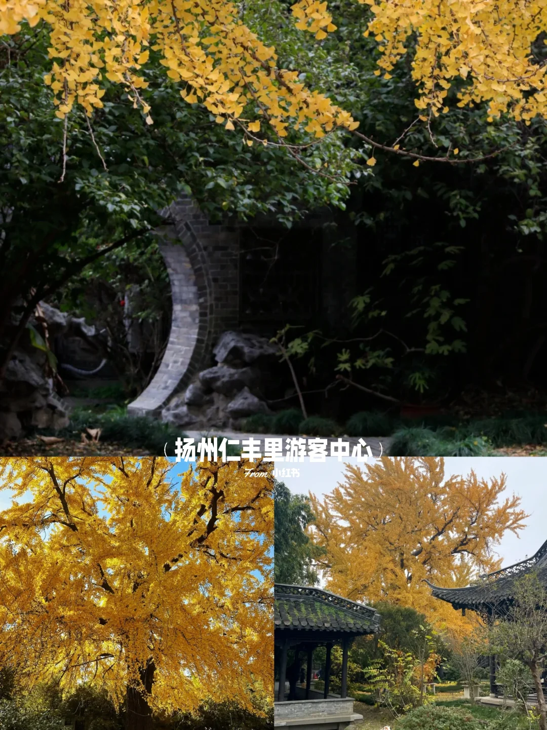 👀扬州本地人都不知道的小众秘密景点❗