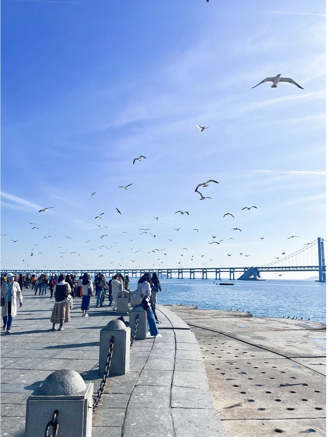 大连Plog，热门景点替大家踩个雷🧐