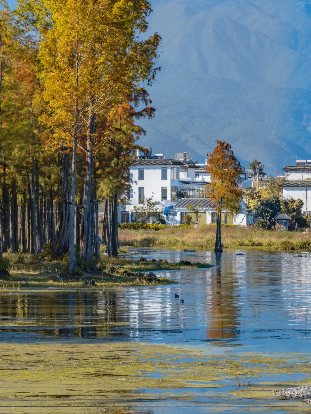 为了这18张照片,我专程飞了一趟大理❗❗