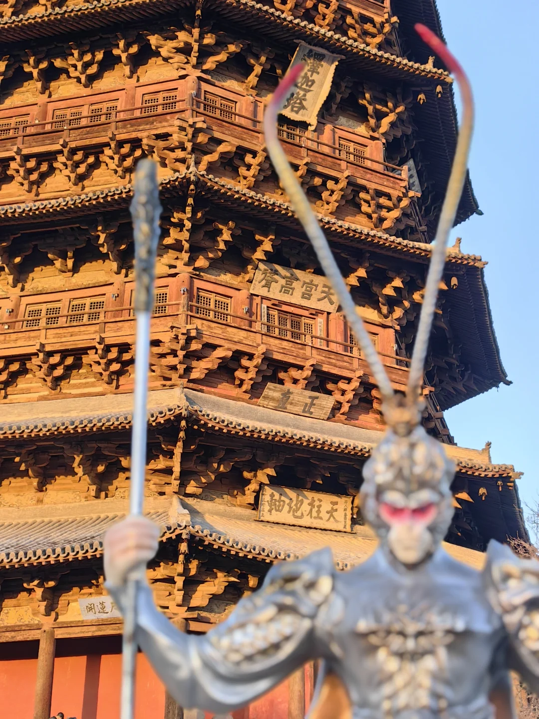 劝退大同行的人，打脸时刻来啦!（附贴士）