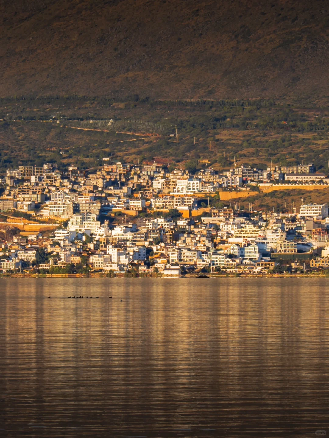 为了这18张照片,我专程飞了一趟大理❗❗