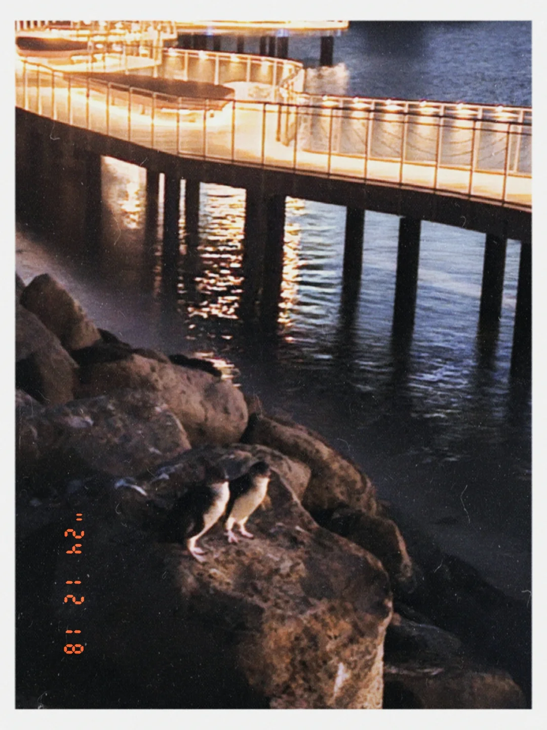 我不允许你没去过墨尔本最新的免费景点！