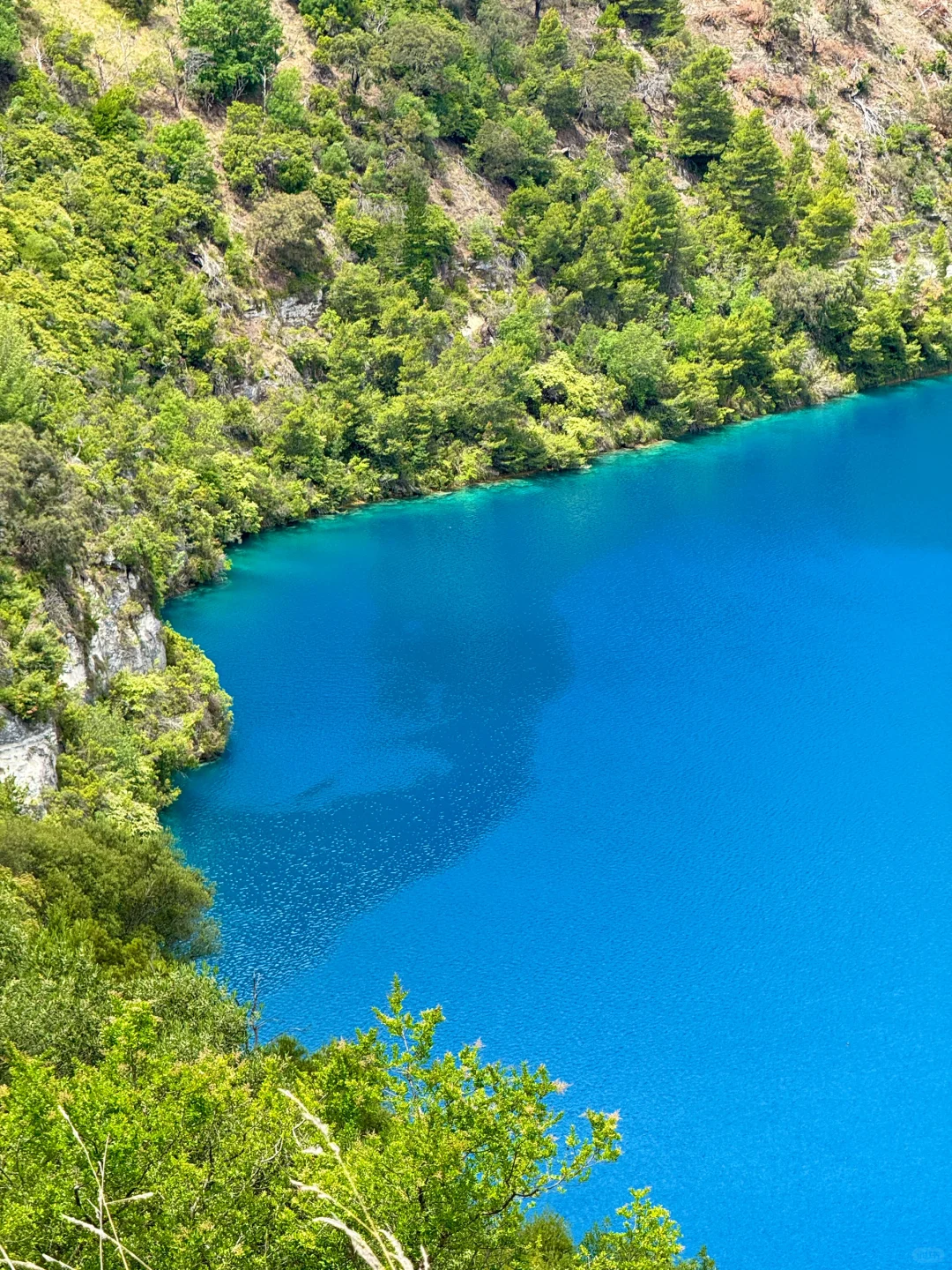 💥墨尔本｜维州周边超绝🤩洞穴花园⛲️蓝湖💦