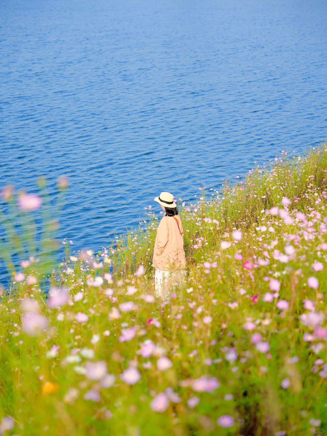 问爆了❗️上海自驾1.5h🚗人间塞尔达真的存在