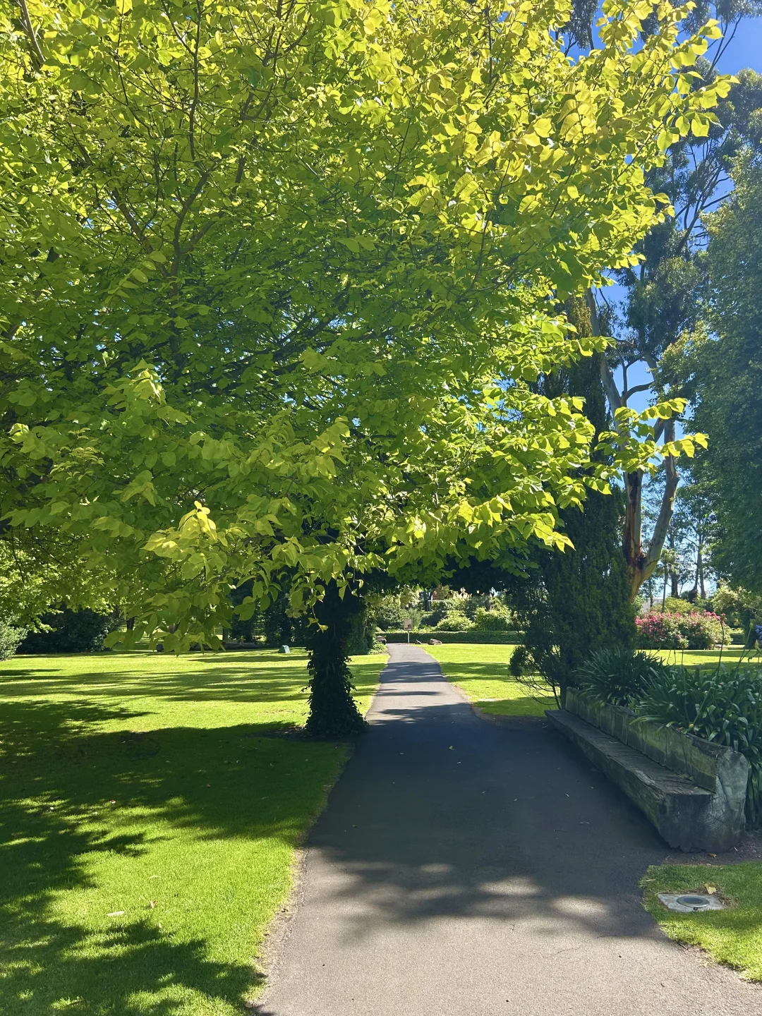 💥墨尔本｜维州周边超绝🤩洞穴花园⛲️蓝湖💦
