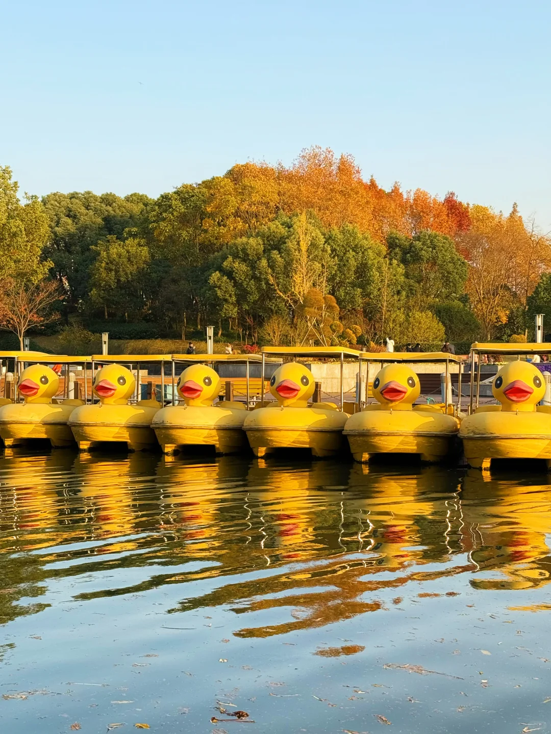 红了!上海这个被严重低估的宝藏公园😍