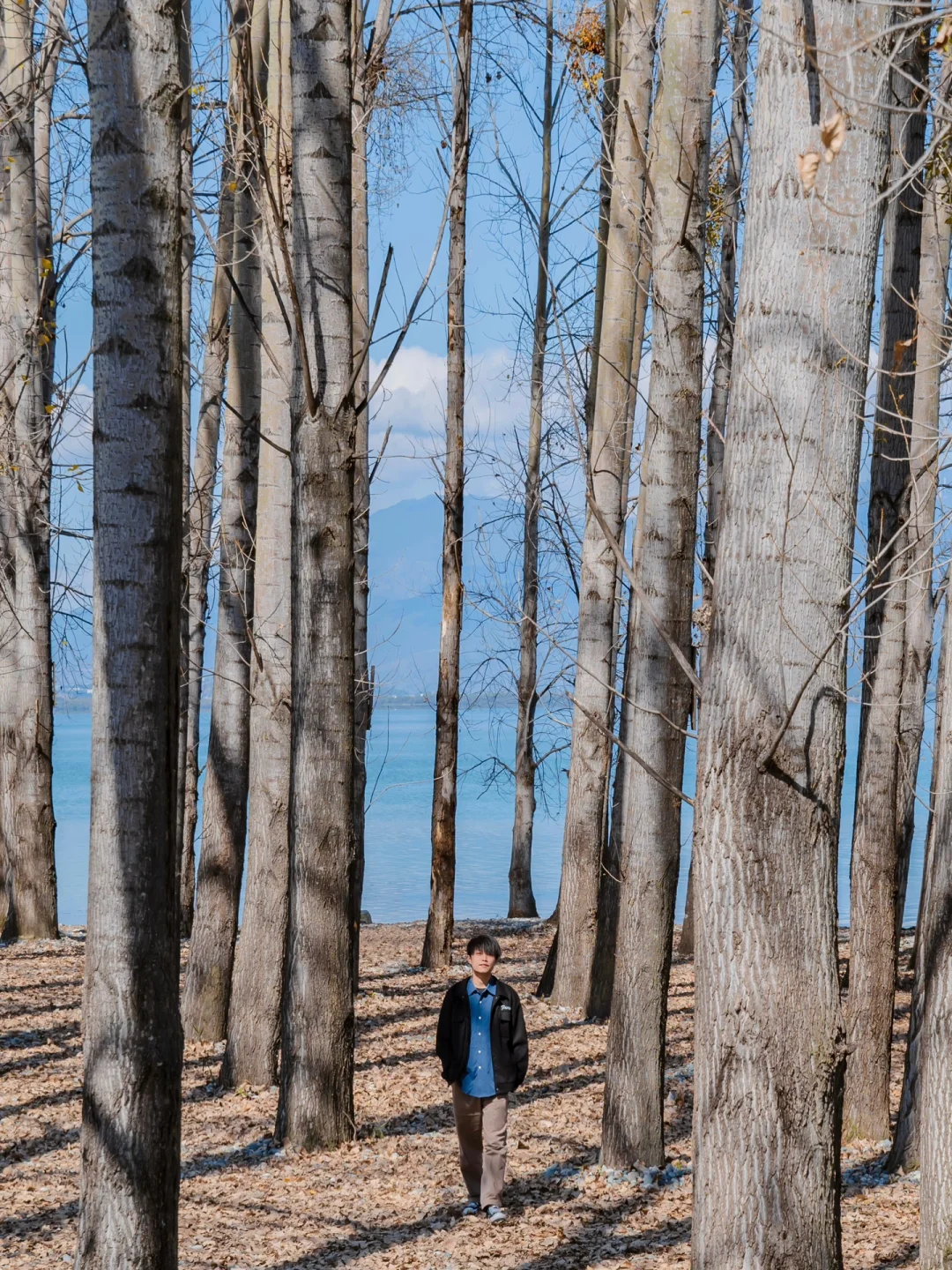 为了这18张照片,我专程飞了一趟大理❗❗