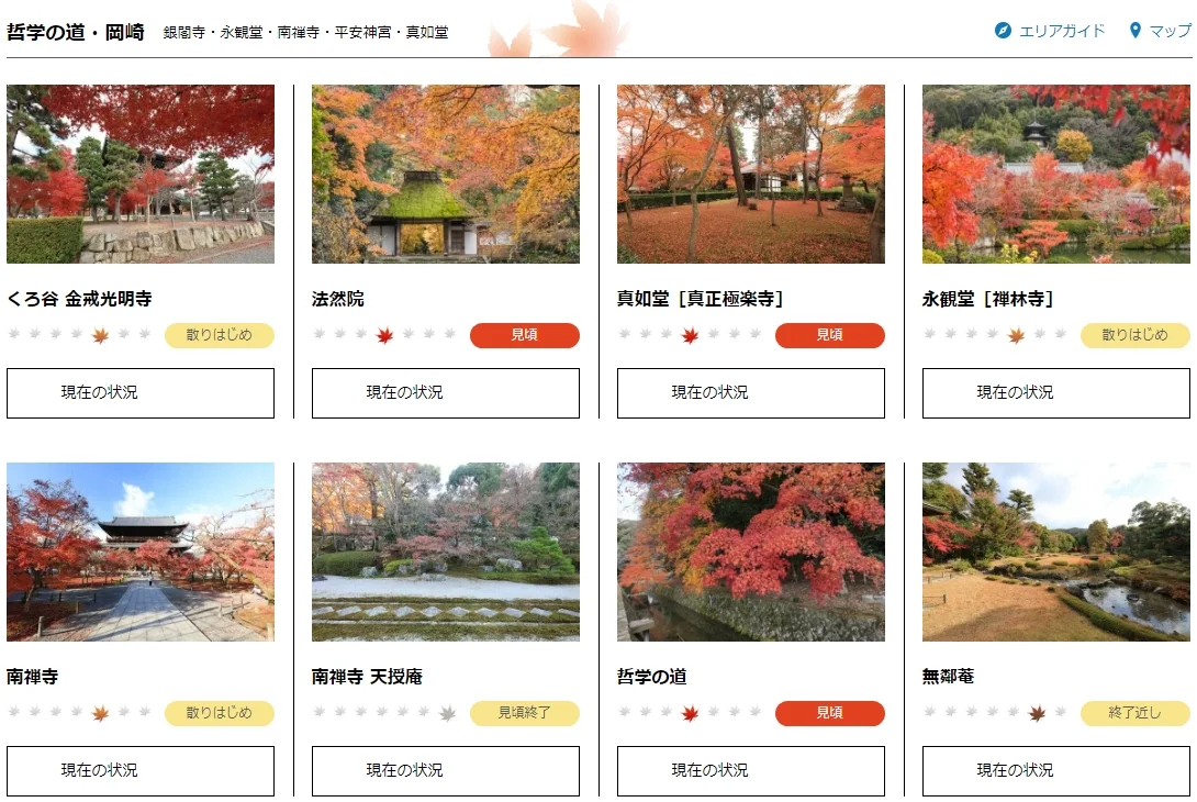 2024京都追枫实时播报📢这些寺院坚挺仍可冲