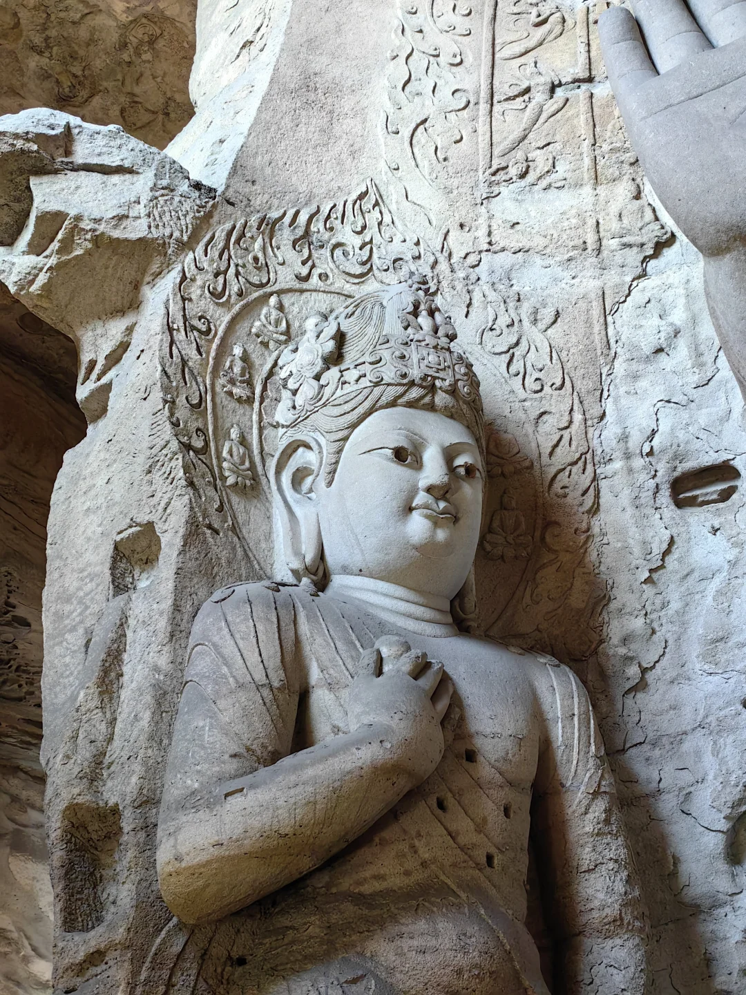 劝退大同行的人，打脸时刻来啦!（附贴士）