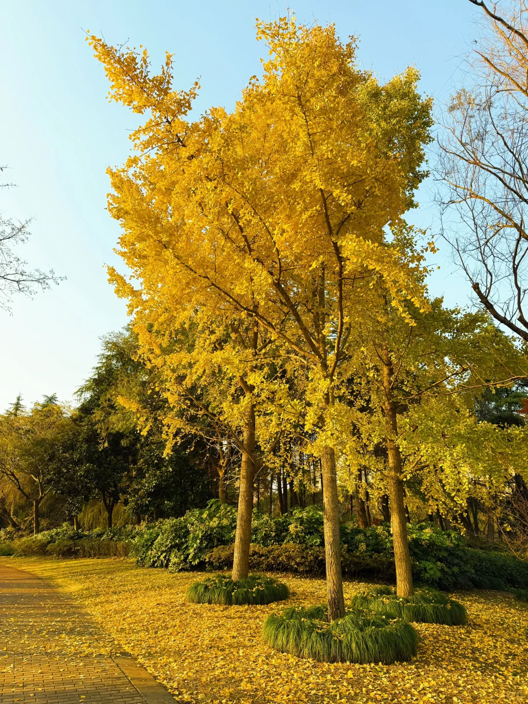 红了!上海这个被严重低估的宝藏公园😍
