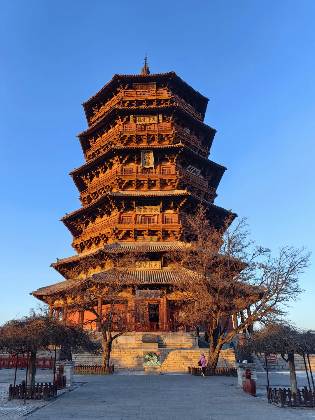 劝退大同行的人，打脸时刻来啦!（附贴士）