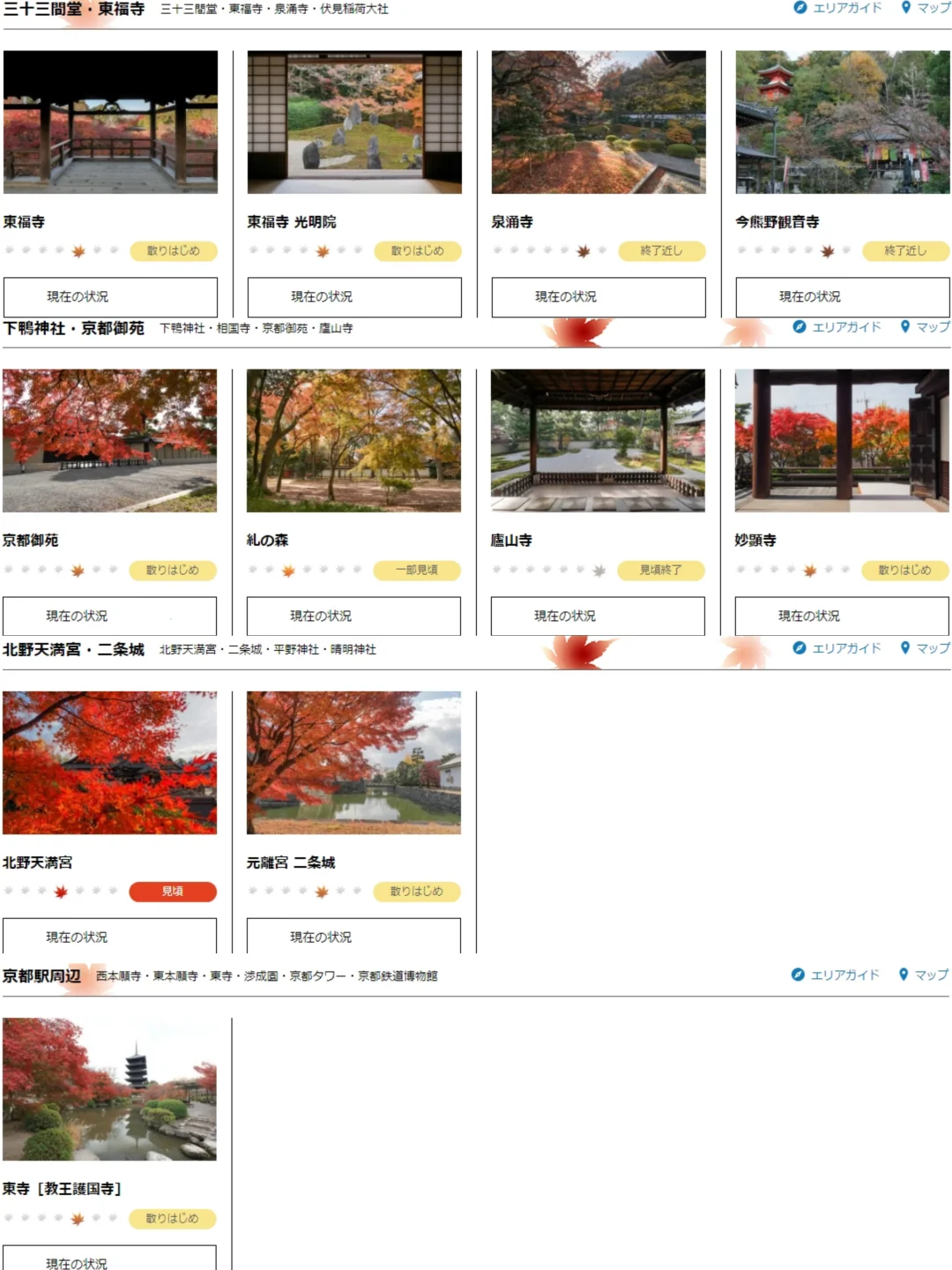 2024京都追枫实时播报📢这些寺院坚挺仍可冲