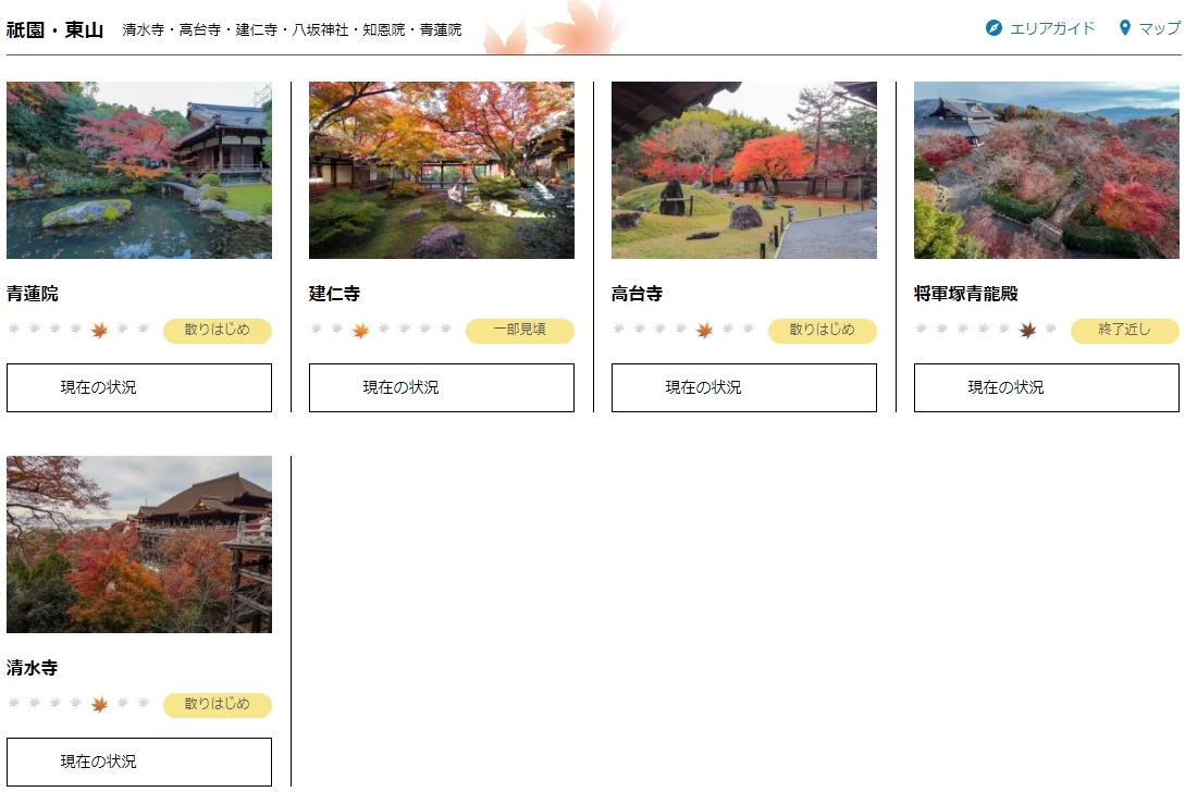 2024京都追枫实时播报📢这些寺院坚挺仍可冲