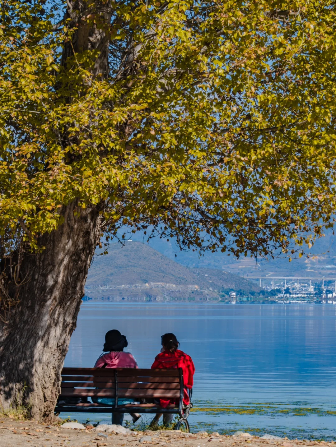 为了这18张照片,我专程飞了一趟大理❗❗