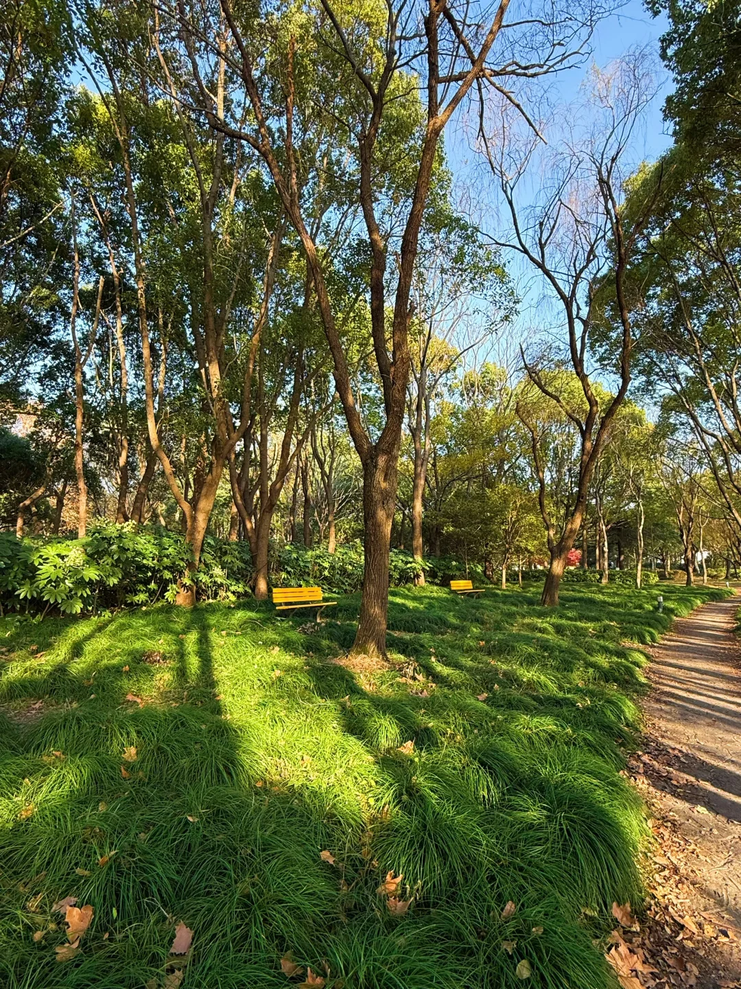 红了!上海这个被严重低估的宝藏公园😍