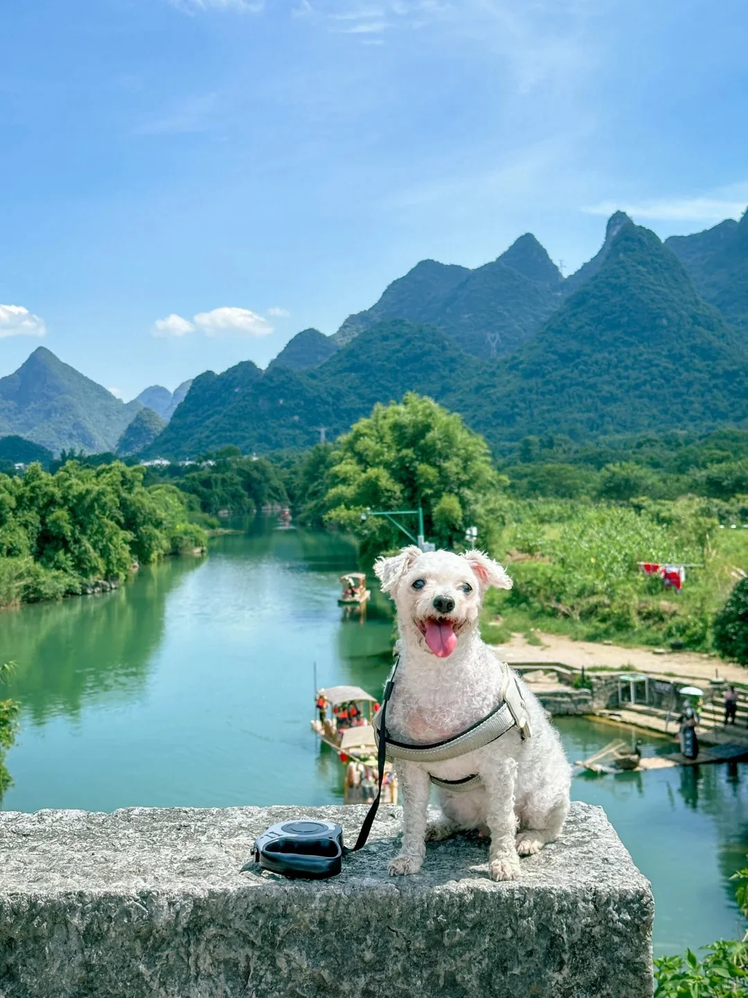 实话很难听,但这就是桂林12-2月淡季情况