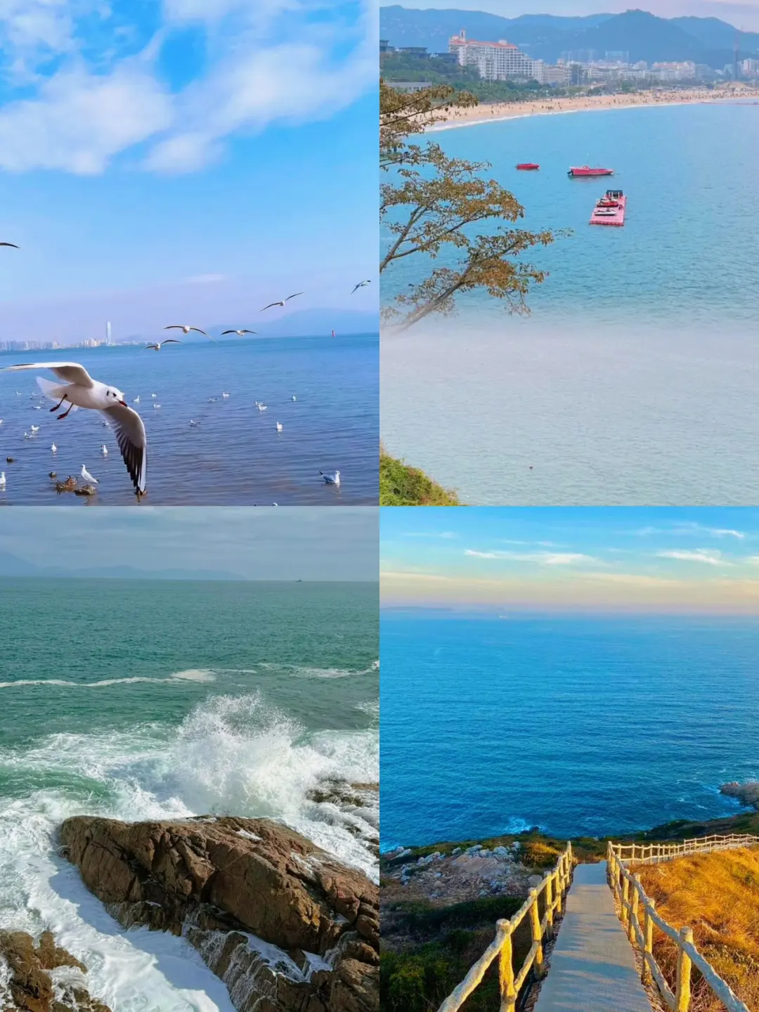 《深圳两天一晚》大学生周末游特种兵攻略!!