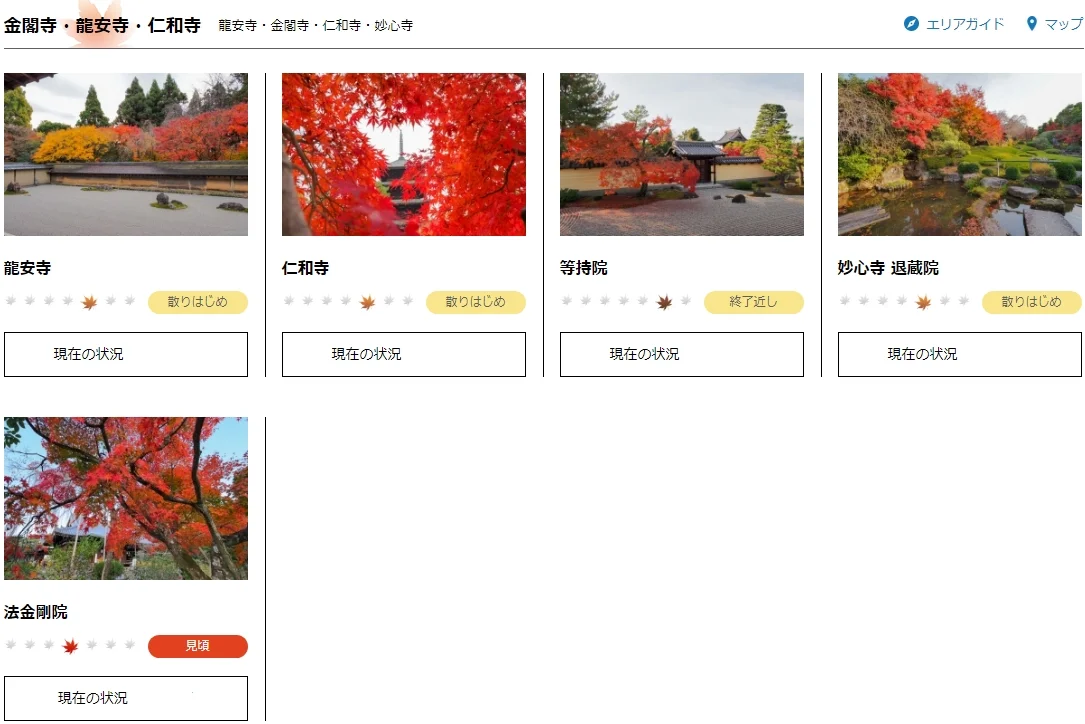 2024京都追枫实时播报📢这些寺院坚挺仍可冲