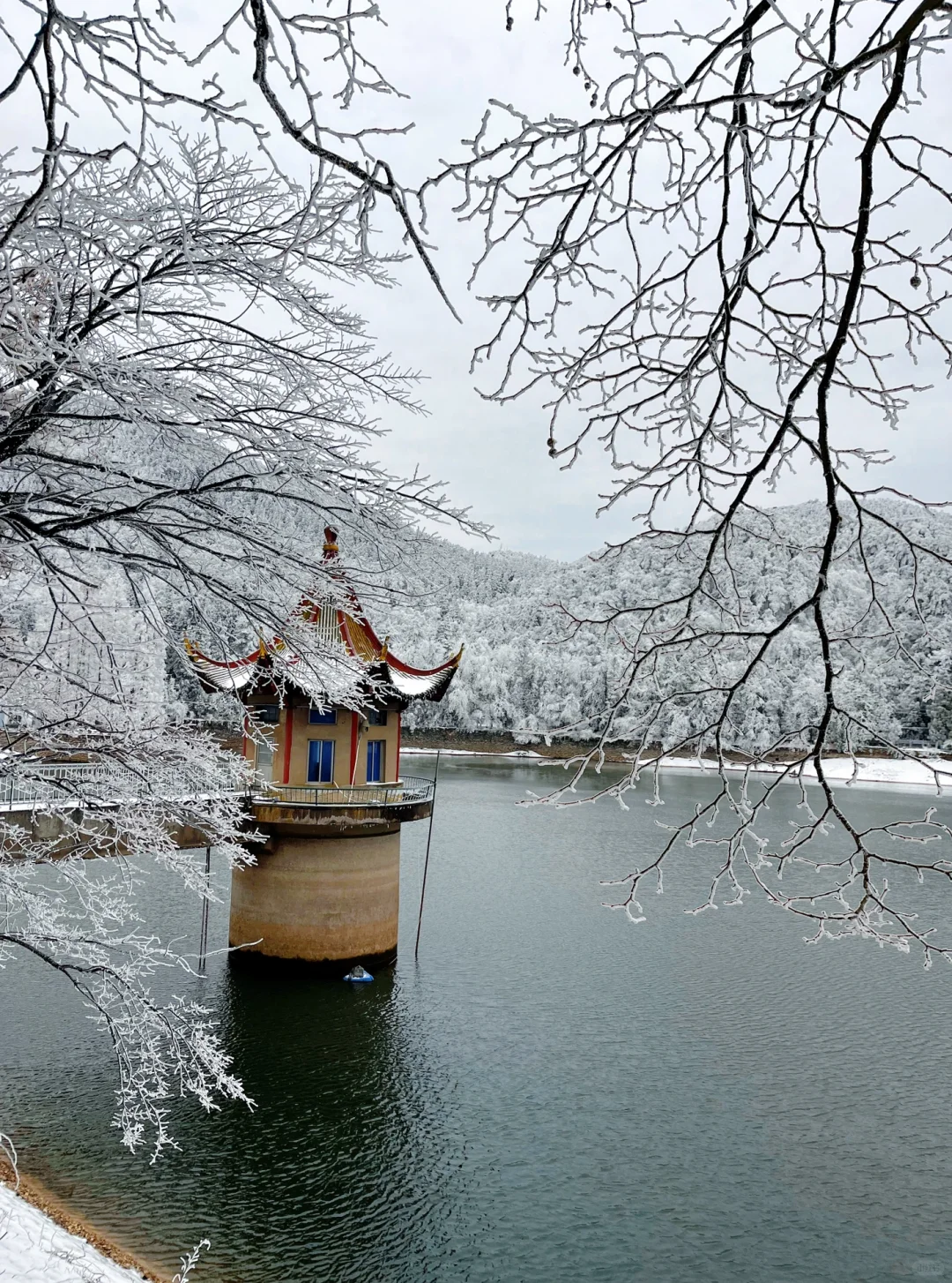 庐山看雪三天两夜保姆攻略来咯！