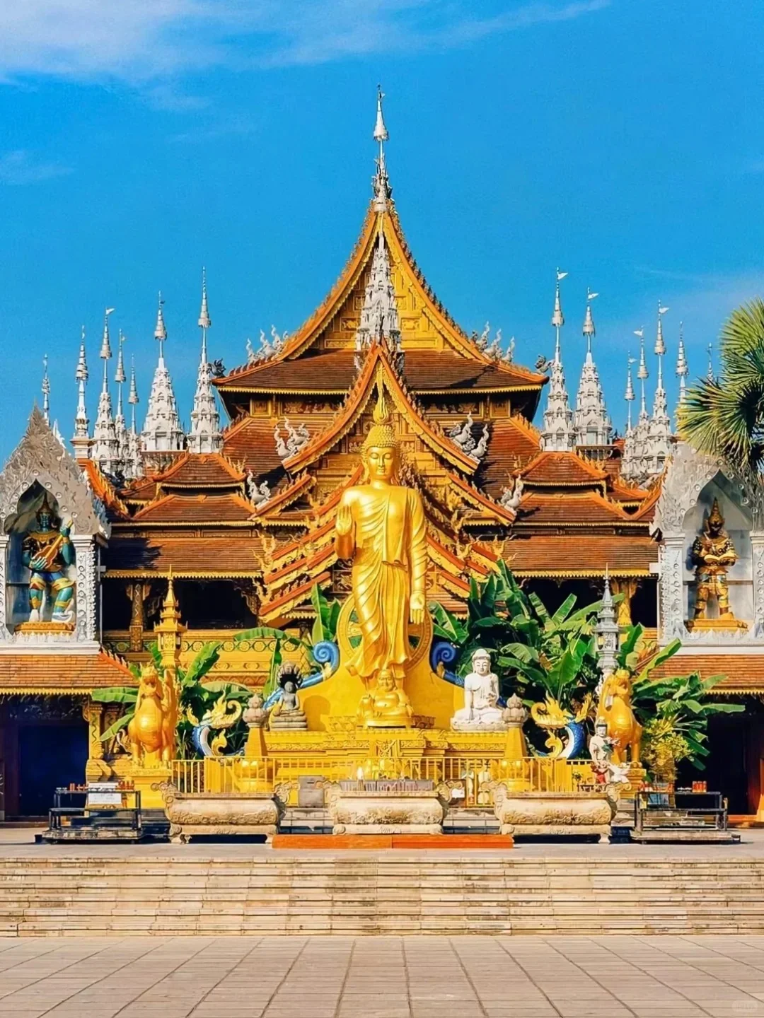 冬季来西双版纳必去十大景点❗新手必看❗