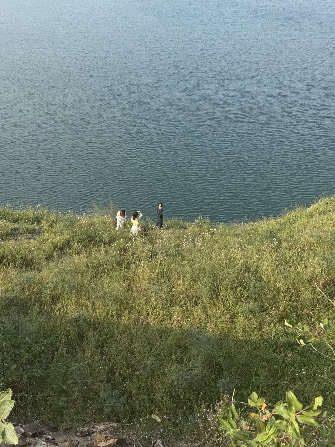 问爆了❗️上海自驾1.5h🚗人间塞尔达真的存在