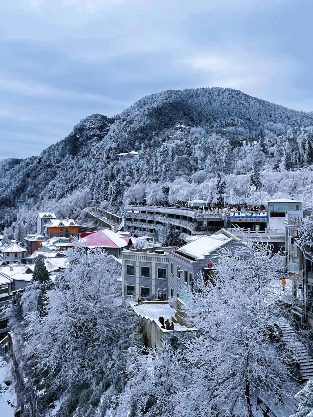 庐山看雪三天两夜保姆攻略来咯！