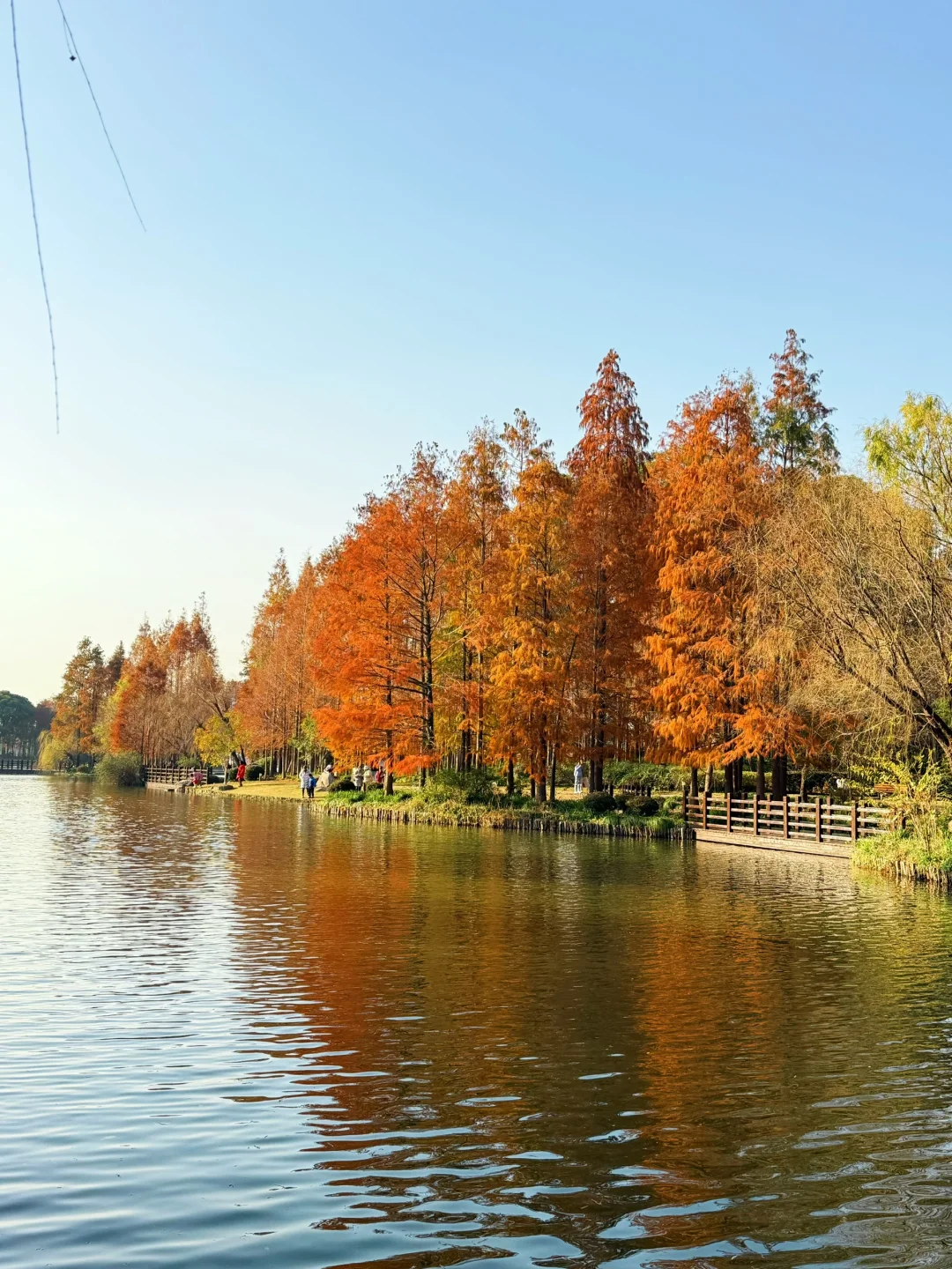 红了!上海这个被严重低估的宝藏公园😍