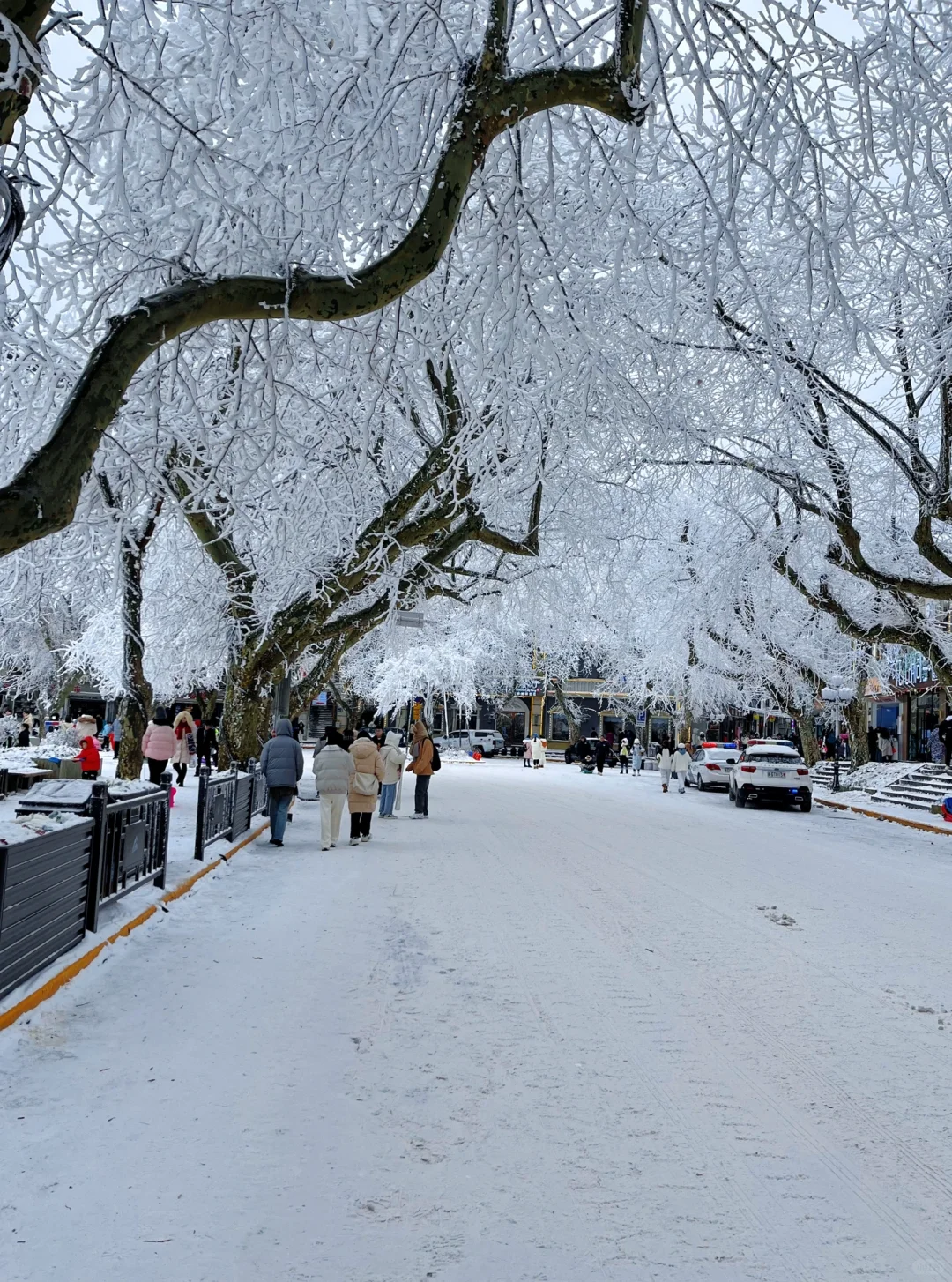 庐山看雪三天两夜保姆攻略来咯！