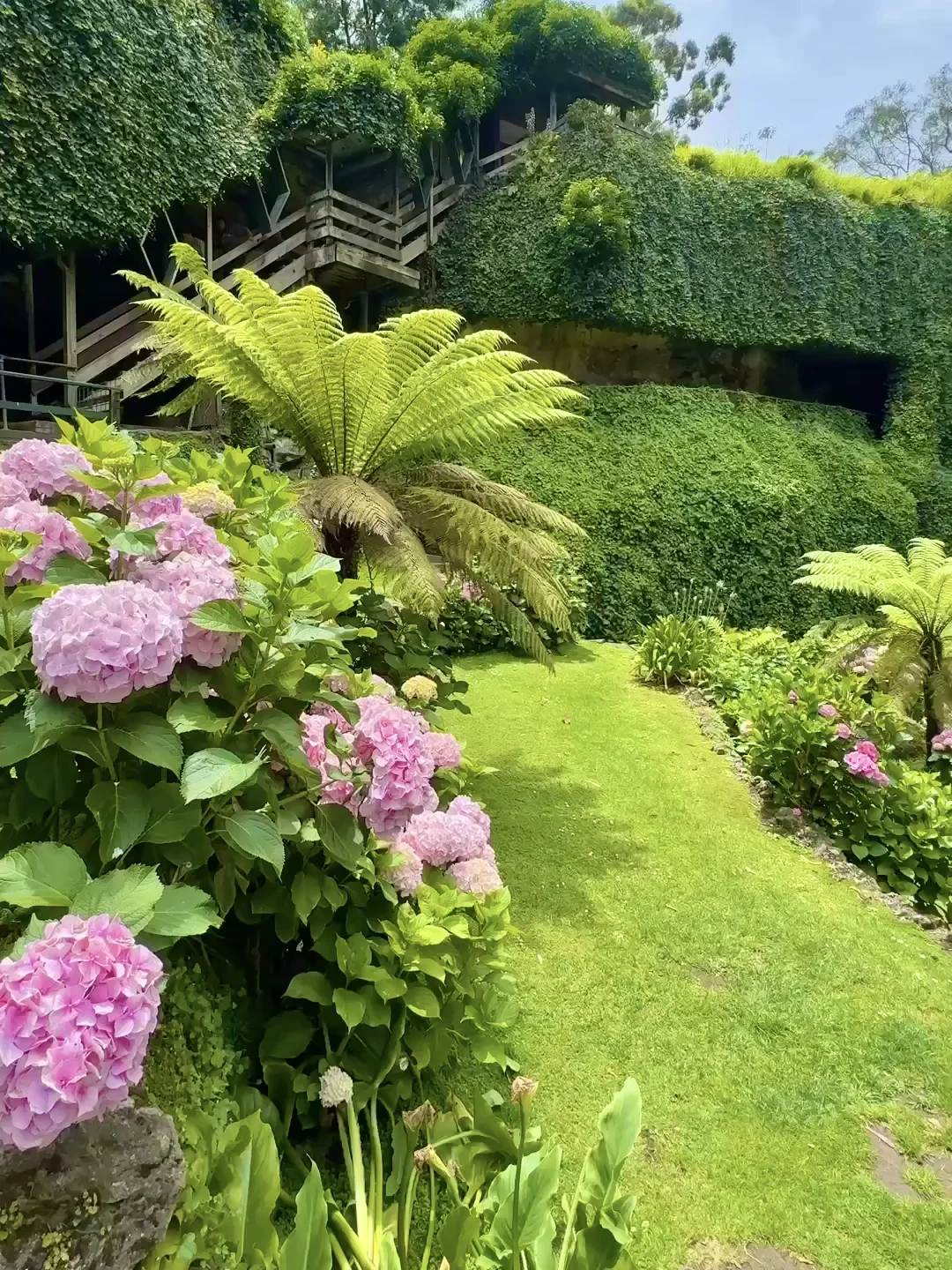 💥墨尔本｜维州周边超绝🤩洞穴花园⛲️蓝湖💦
