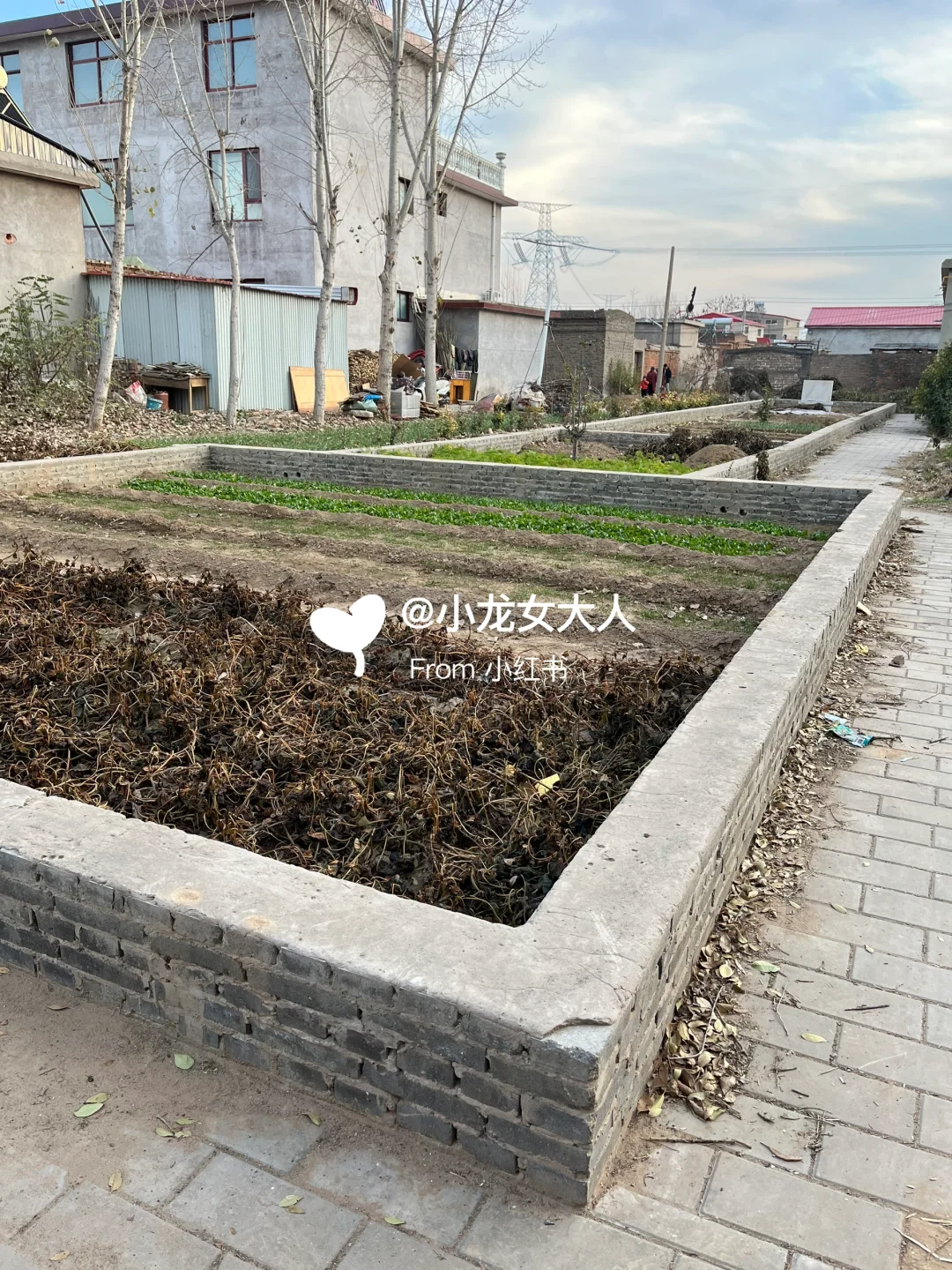 万万没想到｜邯郸探墓‼️高欢墓竟然在这里‼️