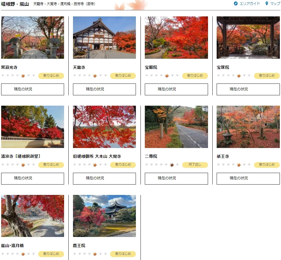 2024京都追枫实时播报📢这些寺院坚挺仍可冲