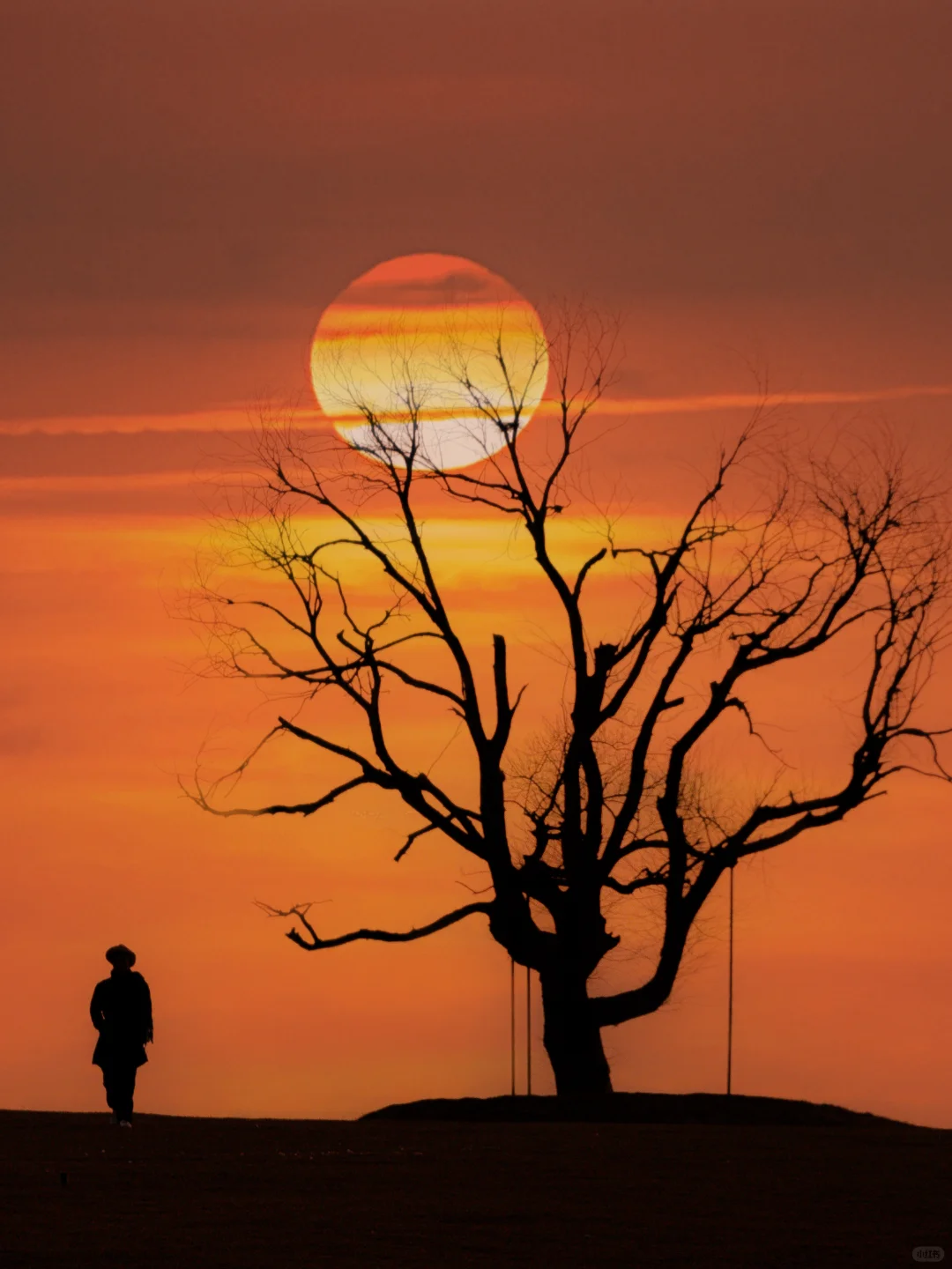 今年我去过最冷门的地方,很怕它火……