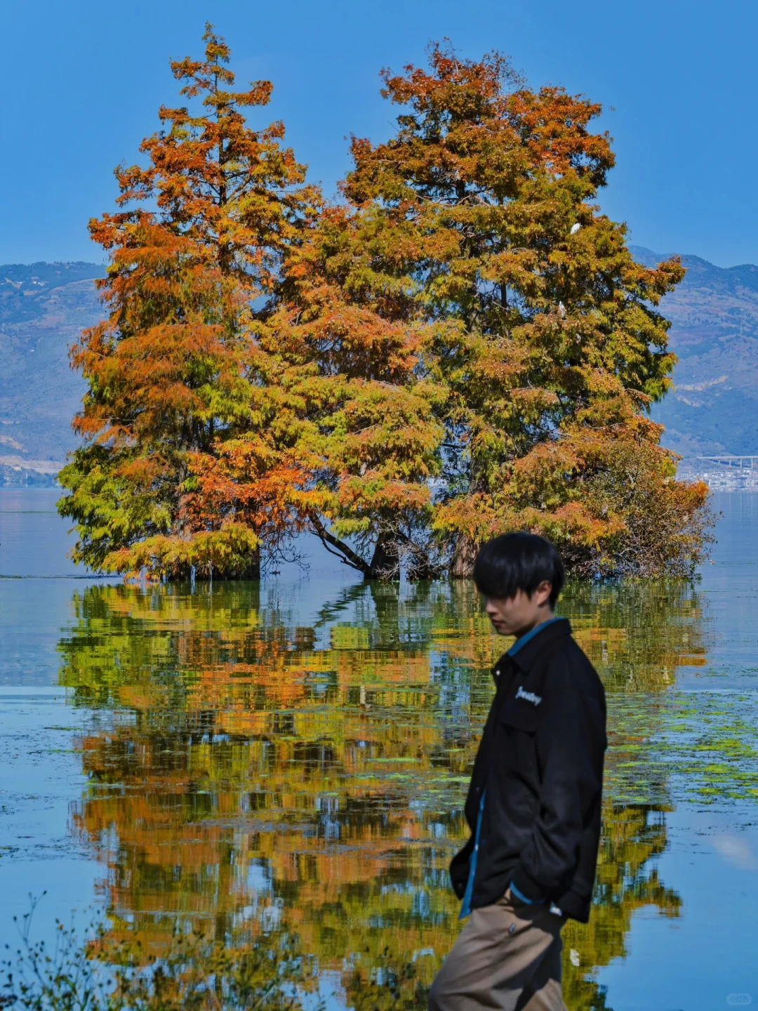 为了这18张照片,我专程飞了一趟大理❗❗