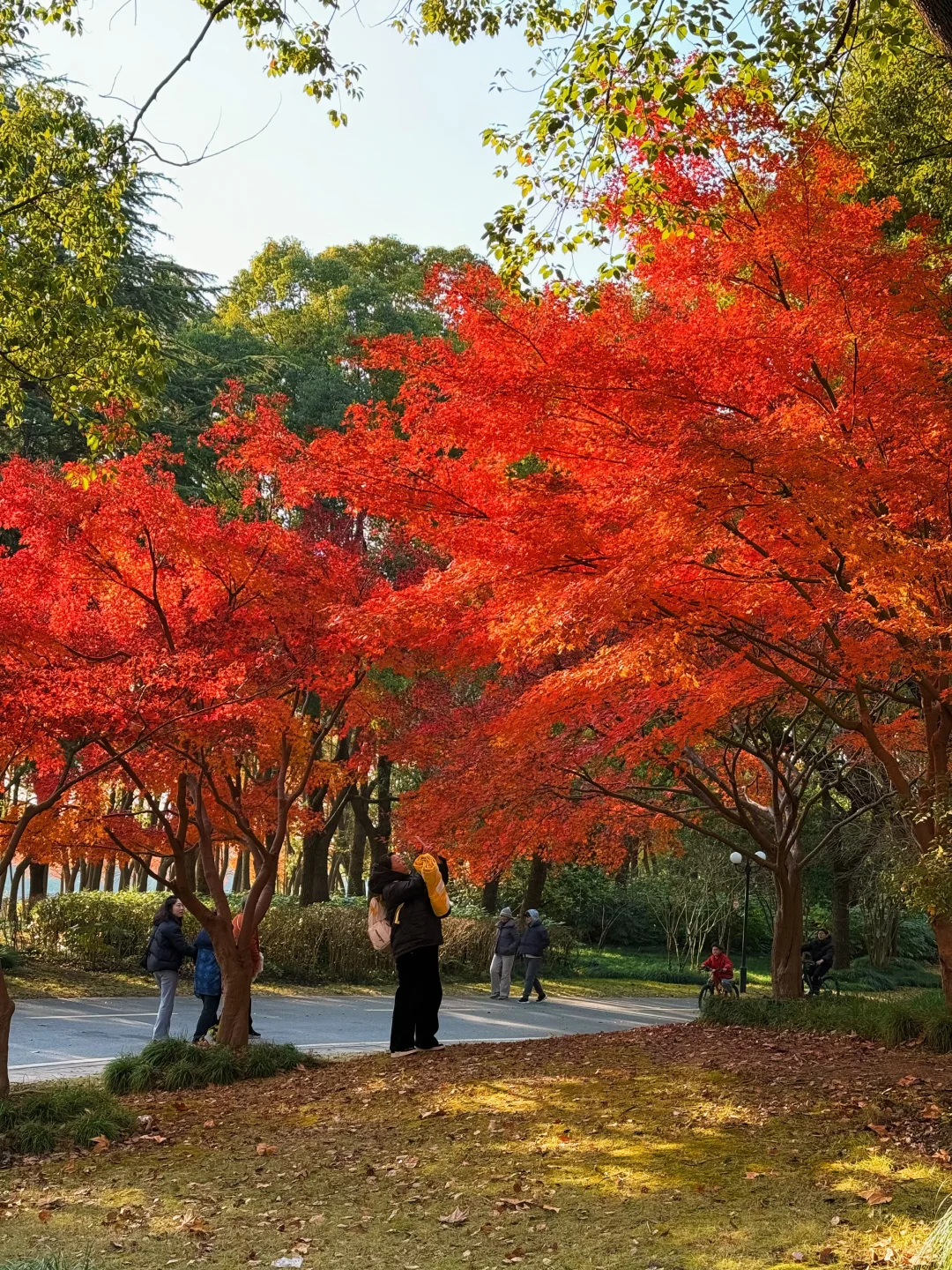 红了!上海这个被严重低估的宝藏公园😍