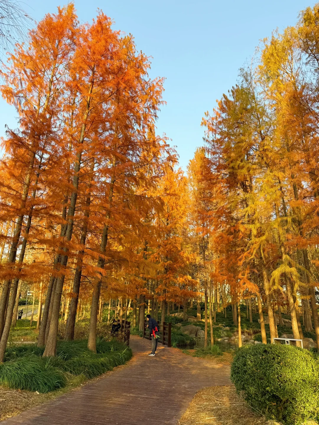 红了!上海这个被严重低估的宝藏公园😍