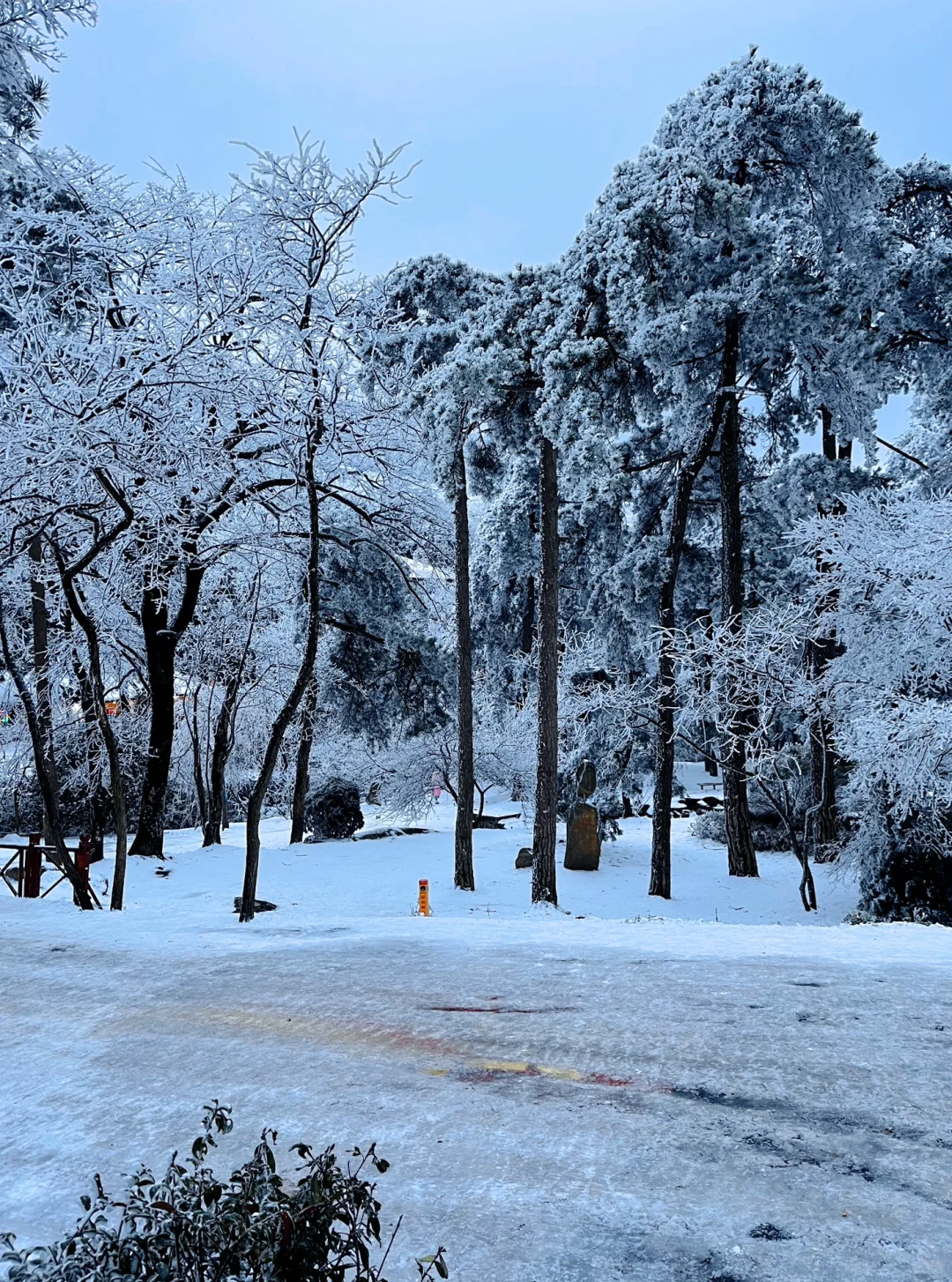 庐山看雪三天两夜保姆攻略来咯！