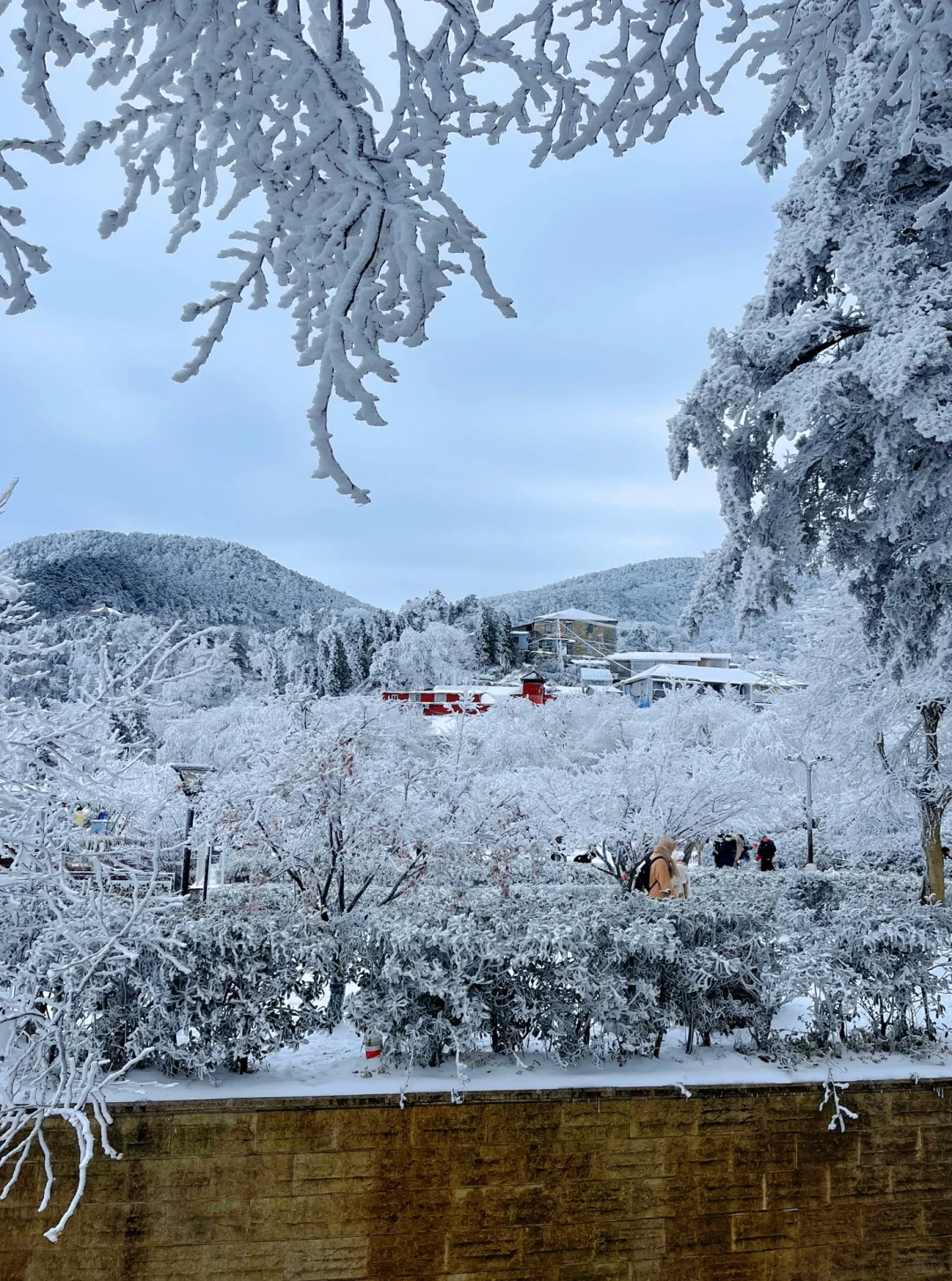 庐山看雪三天两夜保姆攻略来咯！