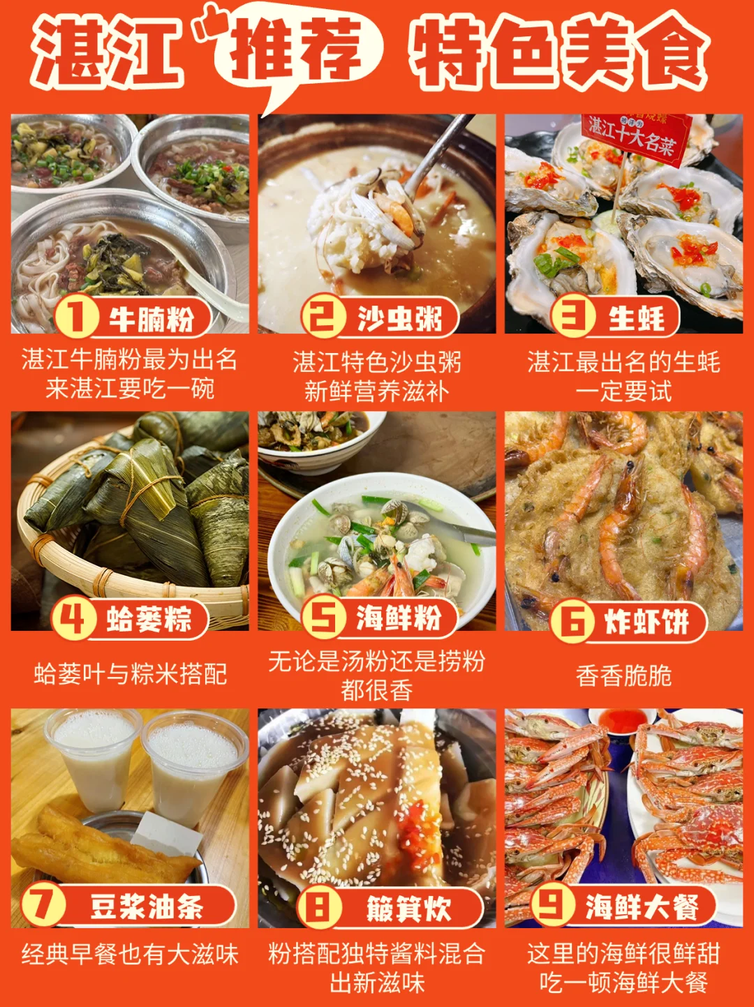 🏝️不能错过的本地人手绘湛江区域景点图