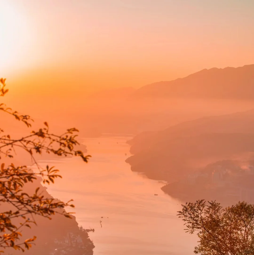 秋天太美了！三峡之巅赏红叶超全攻略