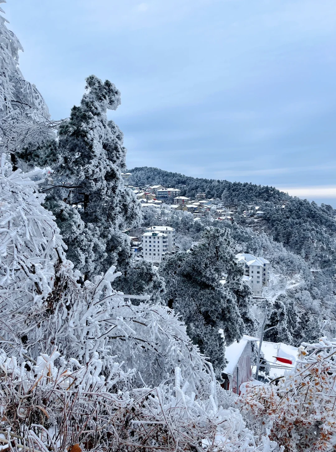 庐山看雪三天两夜保姆攻略来咯！