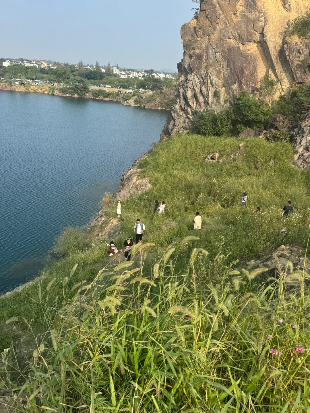 问爆了❗️上海自驾1.5h🚗人间塞尔达真的存在