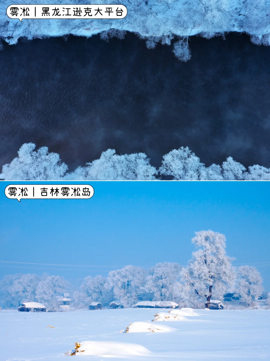 ❄️冬天不知道去哪玩?|挑一个最近的去吧