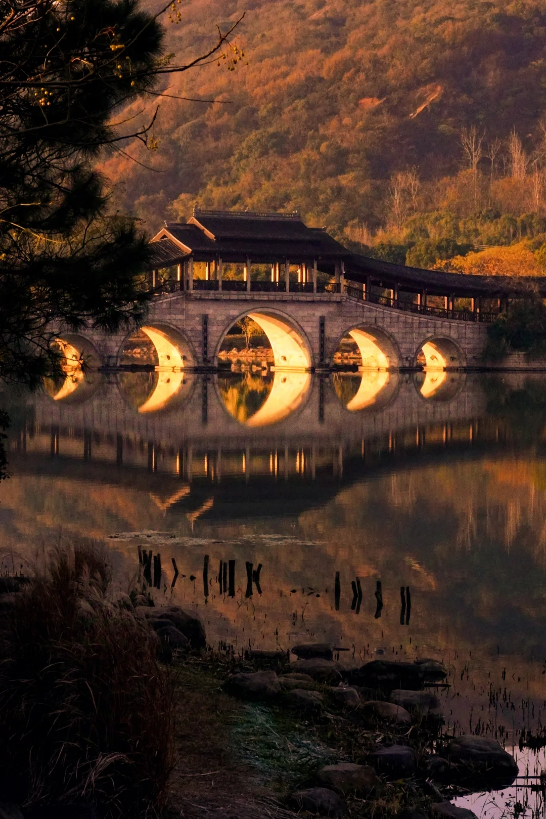 无锡冬日奇观限定‼️金光穿孔 福耀人间✨