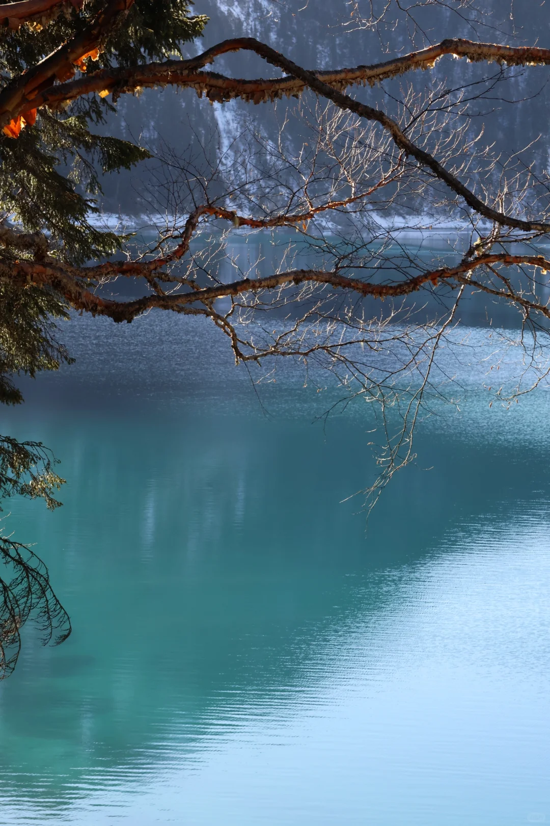 冬九寨沟自由行攻略～路线 住宿 开销 巨详细